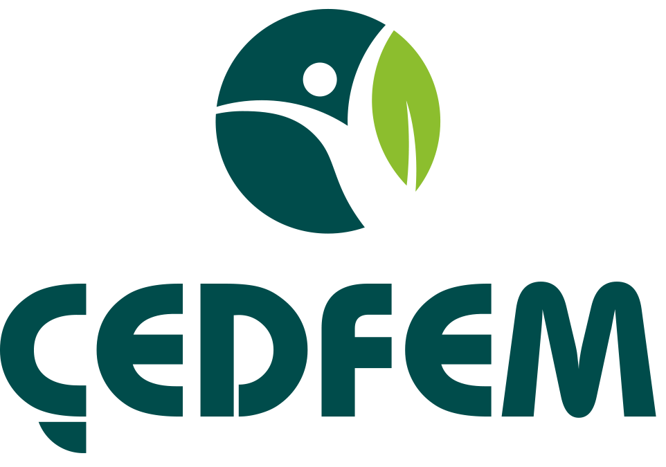 Çedfem Mühendislik Ltd. Şti.